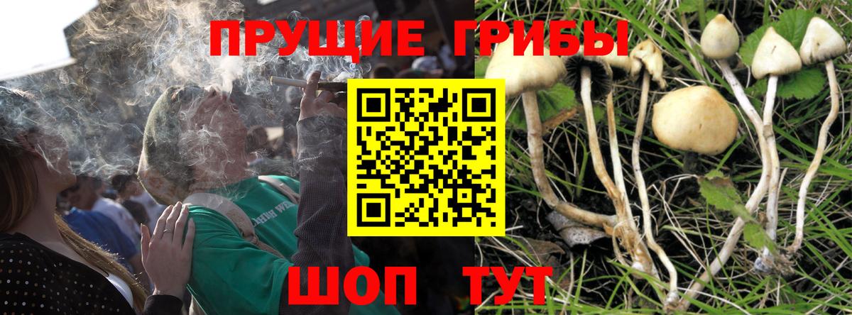 Галлюциногенные грибы мухоморы Кубинка